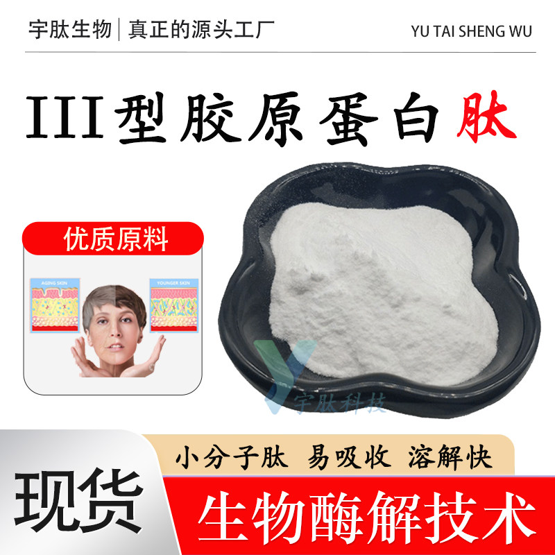 III型胶原蛋白维持皮肤弹性保湿