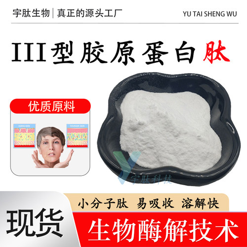 III型胶原蛋白维持皮肤弹性保湿