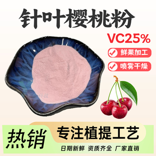 针叶樱桃果粉VC25% 果蔬粉食品级水溶浓缩原料现货 樱桃粉维生素C