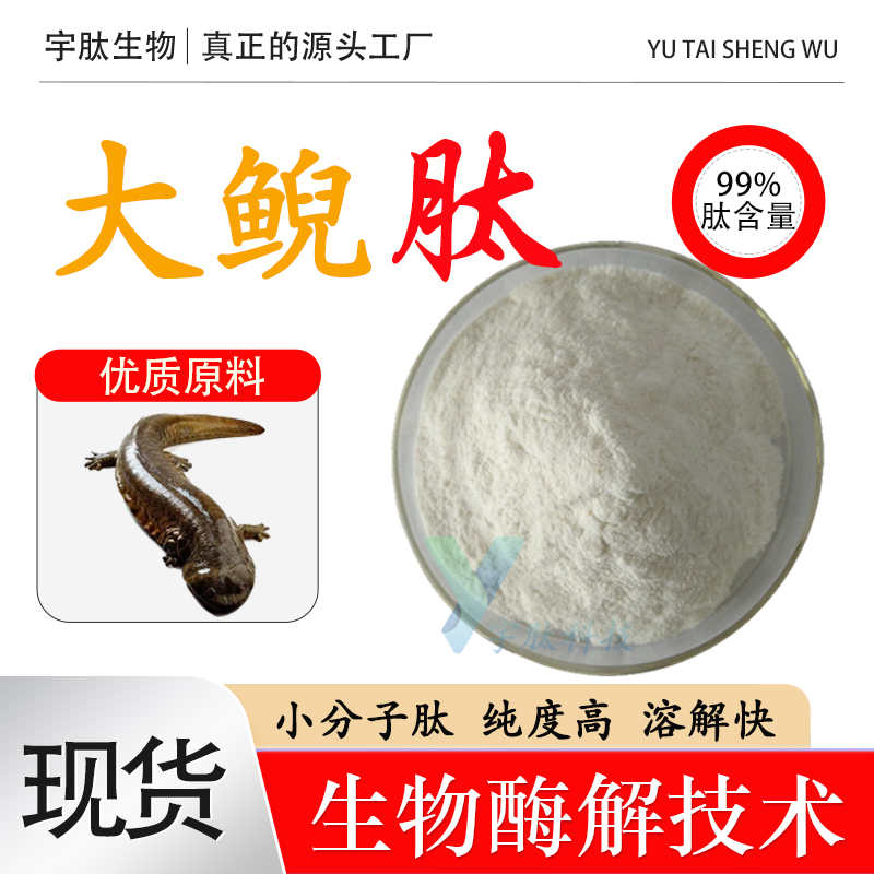 大鲵肽保护心脑血管提高免疫力