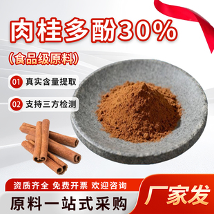 肉桂多酚 30%肉桂提取物桂皮萃取粉肉桂粉食品级原料厂家直发现货
