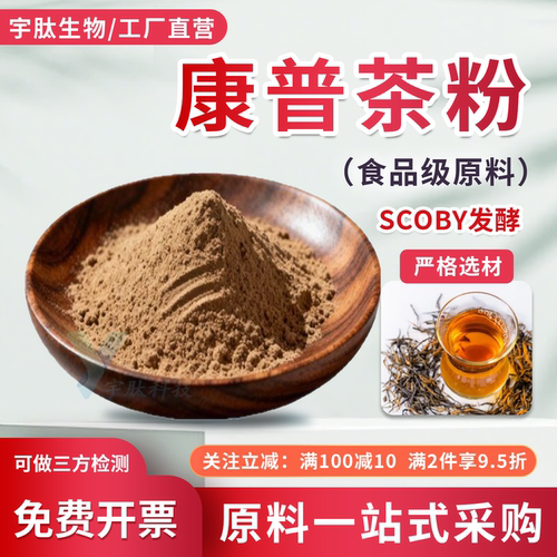 康普茶粉99% 红茶菌发酵液粉康普茶速溶粉食品级原料厂家直发正品