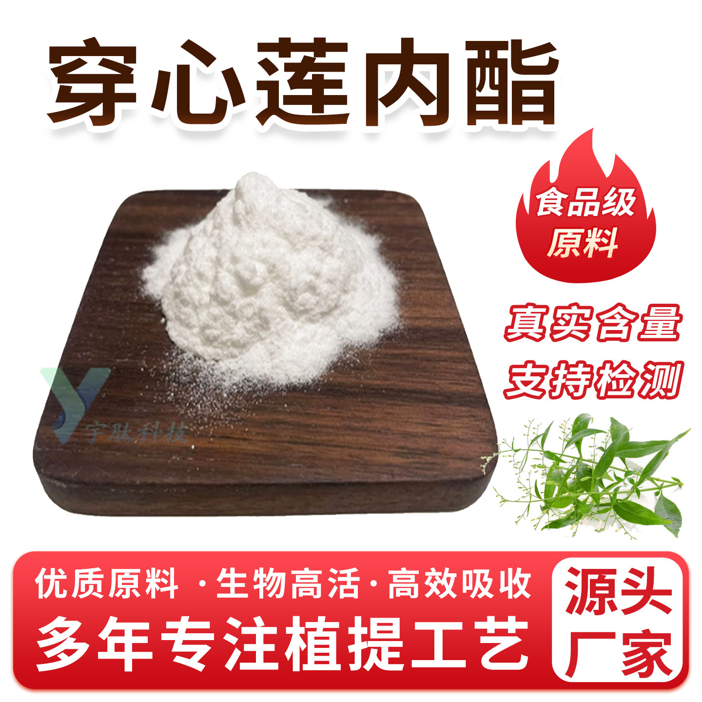 穿心莲内酯98%穿心莲提取物 食品级原料内脂粉 正品保证 厂家现货