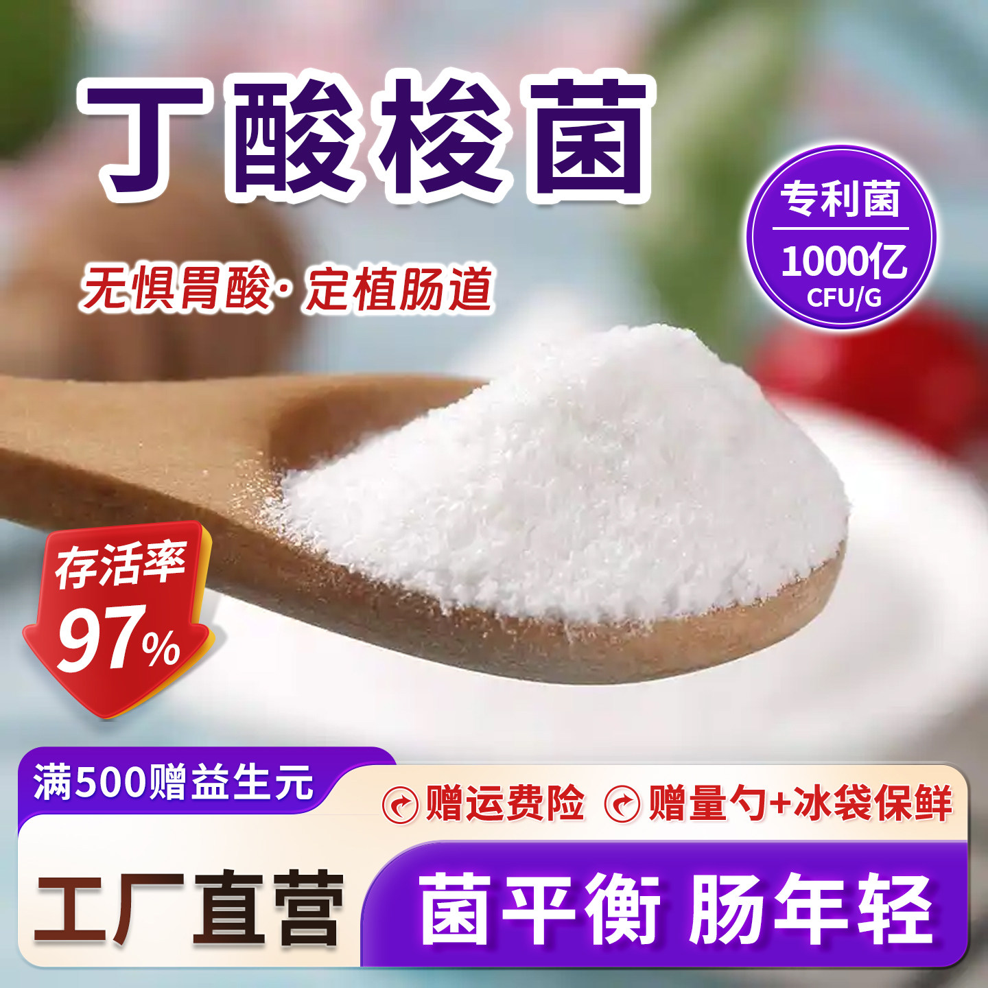 丁酸梭菌 1000亿高活性食品级 乳酸菌益生菌粉 厂家直发 正品现货