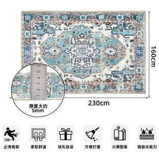 客厅地毯复古波斯满铺沙发茶几垫可B水洗tpr底防滑地垫家用床边毯