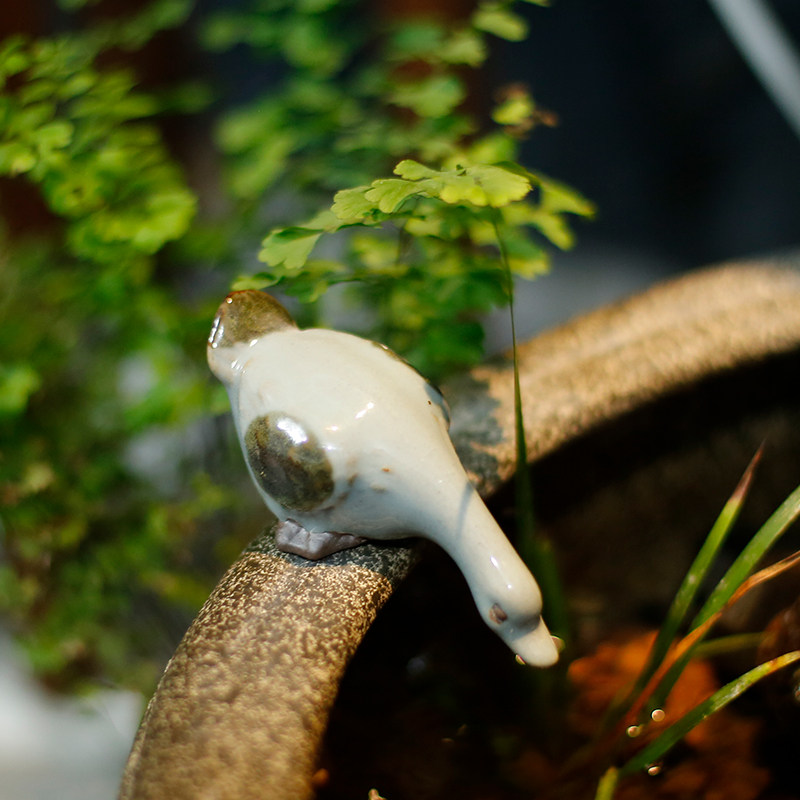 陶瓷小鸭子鱼缸装饰品动物摆件花园庭院盆栽假山造景微景观茶桌池,家居饰品,户外/庭院摆件,淘宝优惠券,粉丝福利购,淘宝优惠卷