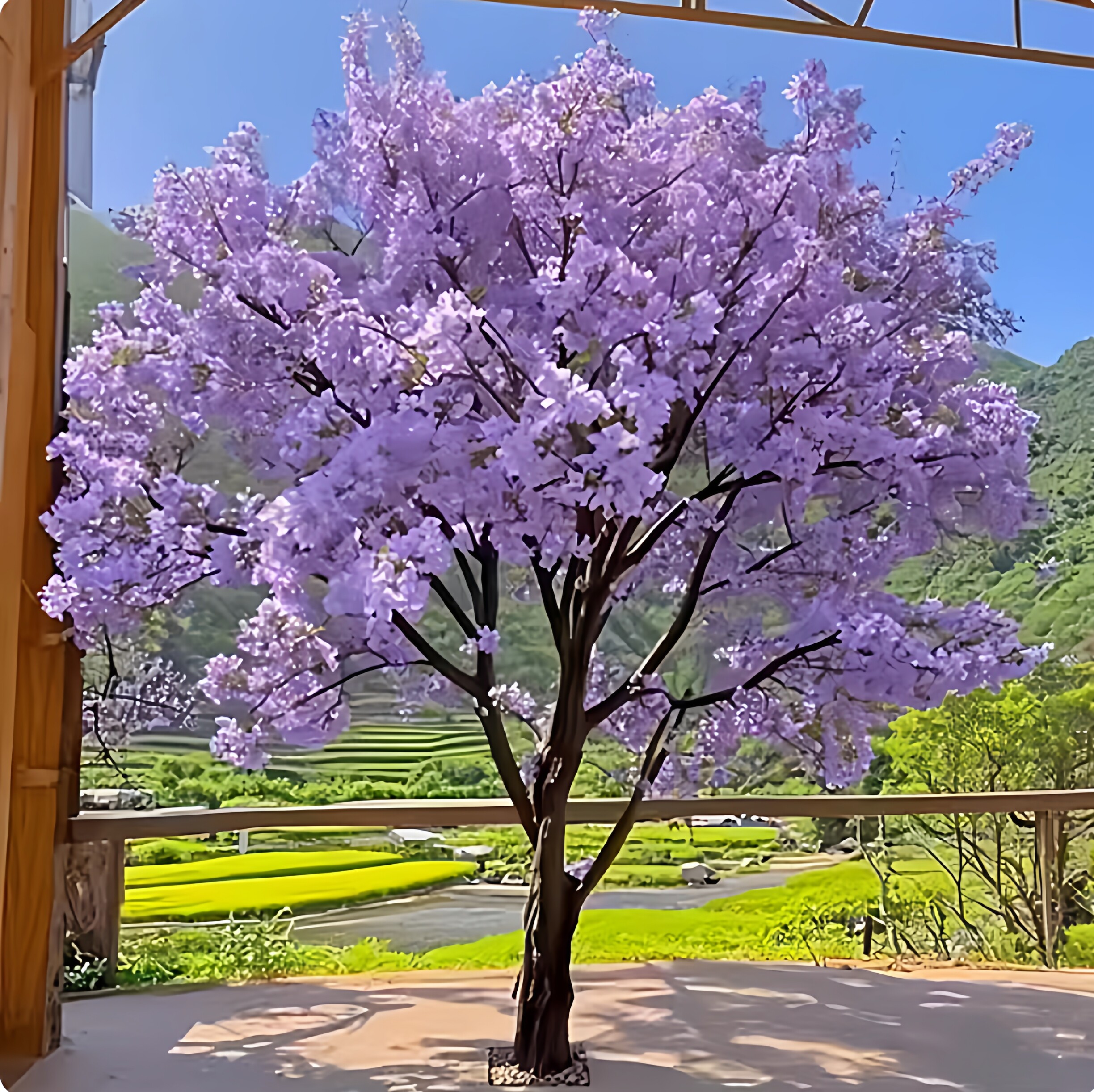 彷真蓝色的花楹树大型假樱花树紫仿真花