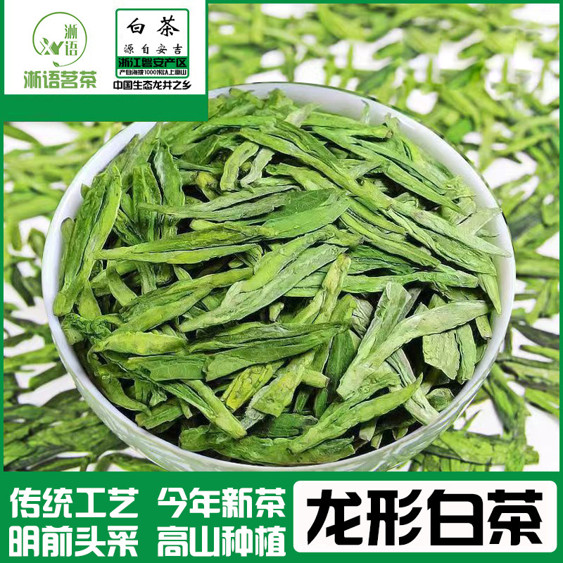 【明前龙形白茶】新茶高档磐安炒青绿茶泡茶叶头采嫩芽扁茶安吉