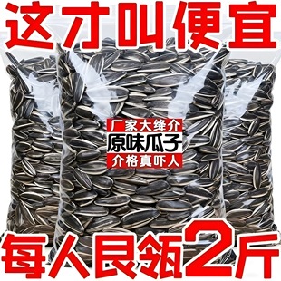 【9.9发2斤】大花脸瓜子内蒙古原味瓜子5斤炒熟大颗粒追剧葵花籽