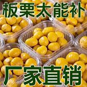 新日期板栗仁油栗仁开袋即食软糯香甜板栗仁颗颗饱满独立小包装