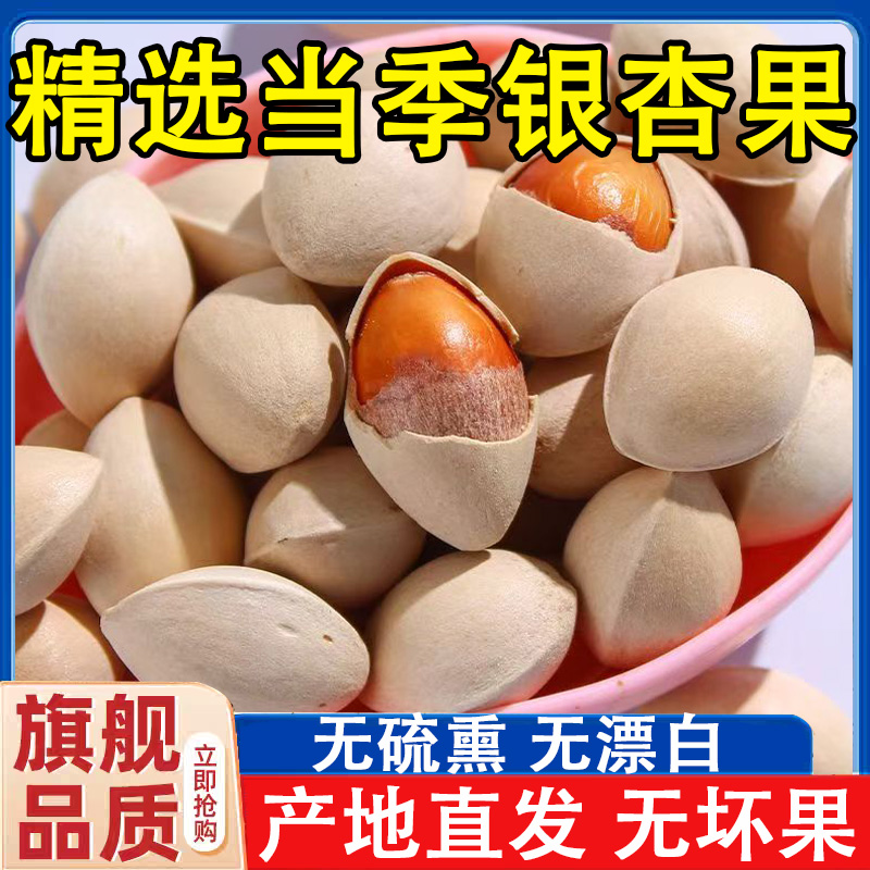 【商超同款2025年新鲜白果银杏果