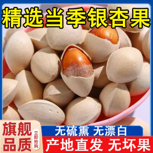 2025年新鲜大颗带壳白果官方旗舰店银杏果无漂白泰兴特级干货百果