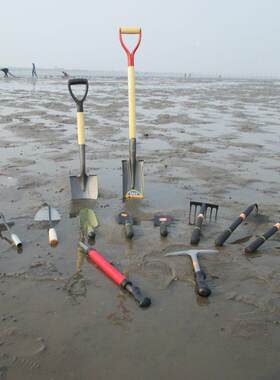 赶海神器不锈钢专用工具海边沙滩耙子拾贝蛤蜊挖牡蛎海蟹钩挖蛏子