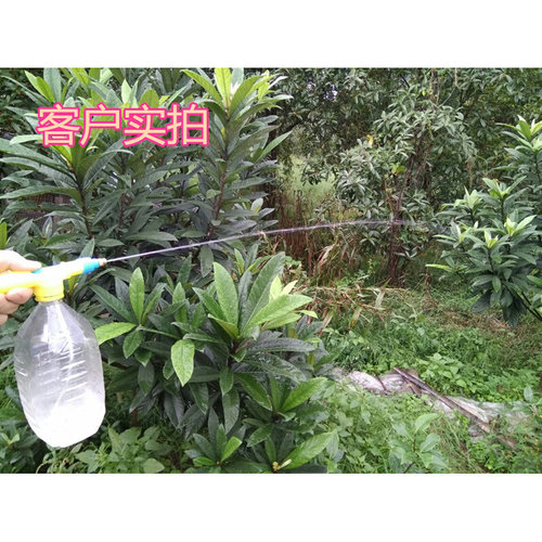 。往复式喷雾器可乐瓶手动推拉打气压力喷雾头喷壶头浇花消毒洒水