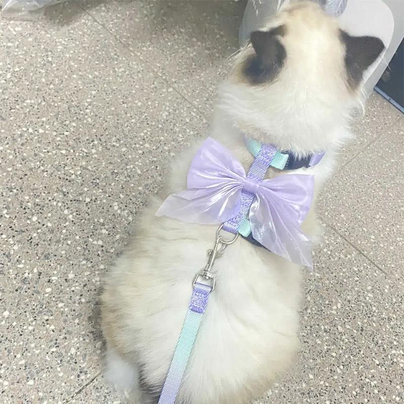 猫咪牵引绳防挣脱外出专用神器遛猫绳兔子绳狗链子可调节宠物用品