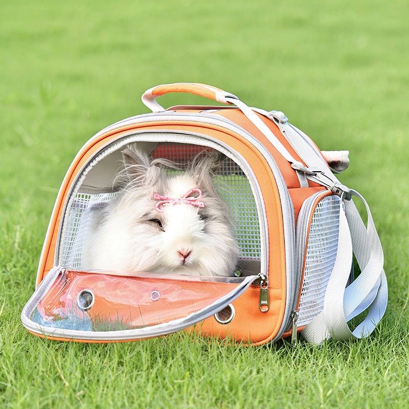 兔子外出包兔兔出行携带手提宠物包小宠透明包侏儒兔外出便携仓鼠,宠物/宠物食品及用品,兔兔其他,淘宝优惠券,粉丝福利购,淘宝优惠卷