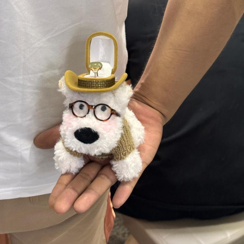 西高地帽子眼睛小狗毛绒公仔背包挂件钥匙扣惊喜戒指盒情人节礼物