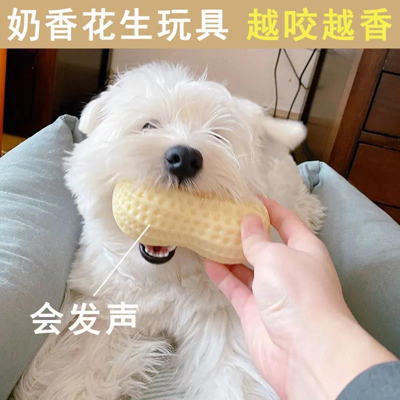 狗狗玩具发声花生金毛耐咬磨牙大型犬柯基法斗消耗体力解闷神器