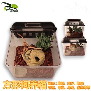 独角仙宠物角蛙蜘蛛蝎子甲虫锹甲饲养箱亚克力饲养盒精品套餐 包邮