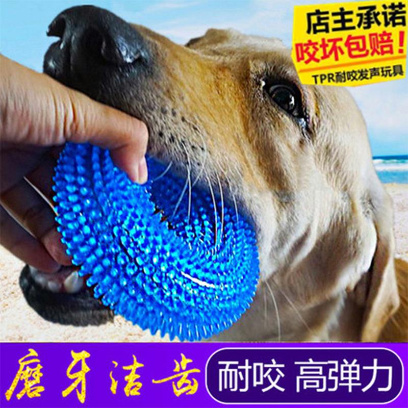 狗狗玩具发声玩具球泰迪法斗小狗金毛大型犬磨牙耐咬幼犬宠物用品