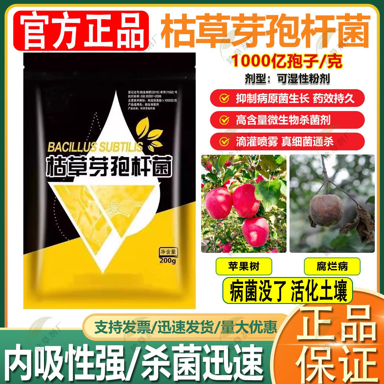 新款枯草芽孢菌杆菌农用微生物菌肥枯草杆菌菌剂菌肥菌种防病肥料