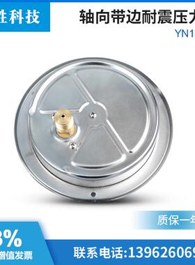 YN150ZT轴向带边耐震压力表 抗震油压压力表 面板式耐震压力表