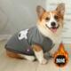 柴犬柯基泰迪冬天小型犬中型犬冬 冬季 宠物狗狗衣服秋冬款 保暖冬装