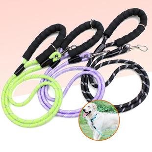 流行宠物狗狗项圈牵引绳舒适防爆冲夜间反光遛狗绳项圈狗脖圈套装