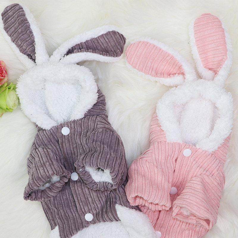 猫咪衣服秋冬款可爱金渐层布偶蓝猫幼猫防掉毛宠物小狗狗保暖棉衣,宠物/宠物食品及用品,猫宠物服装/雨衣（新）,淘宝优惠券,粉丝福利购,淘宝优惠卷