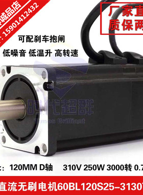 310V 70/80高压直流无刷电机60BL120S25-3130TF9  3000转 250W