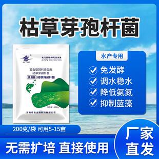 枯草芽孢杆菌免发酵菌种水产养殖专用原种菌粉鱼虾蟹塘活菌益生菌
