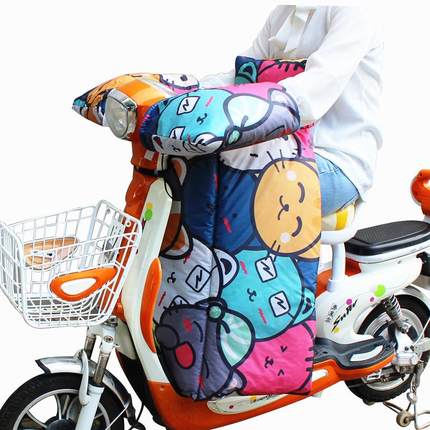 电瓶车电动车挡风被冬季加厚保暖发防风防水分体双面PVC四季通