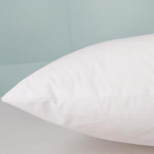 大衬枕芯靠枕枕头单人枕芯床上用品一只装