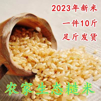 糙米23年新米10斤东北盘锦活玄米糙米饭健身代餐可发芽糟米打米糊