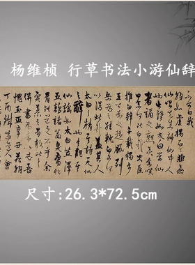杨维桢行草书法小游仙辞复古字画