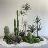 彷真假绿植仙人掌造景楼梯下空间转角景观布置网红露营风植物摆件