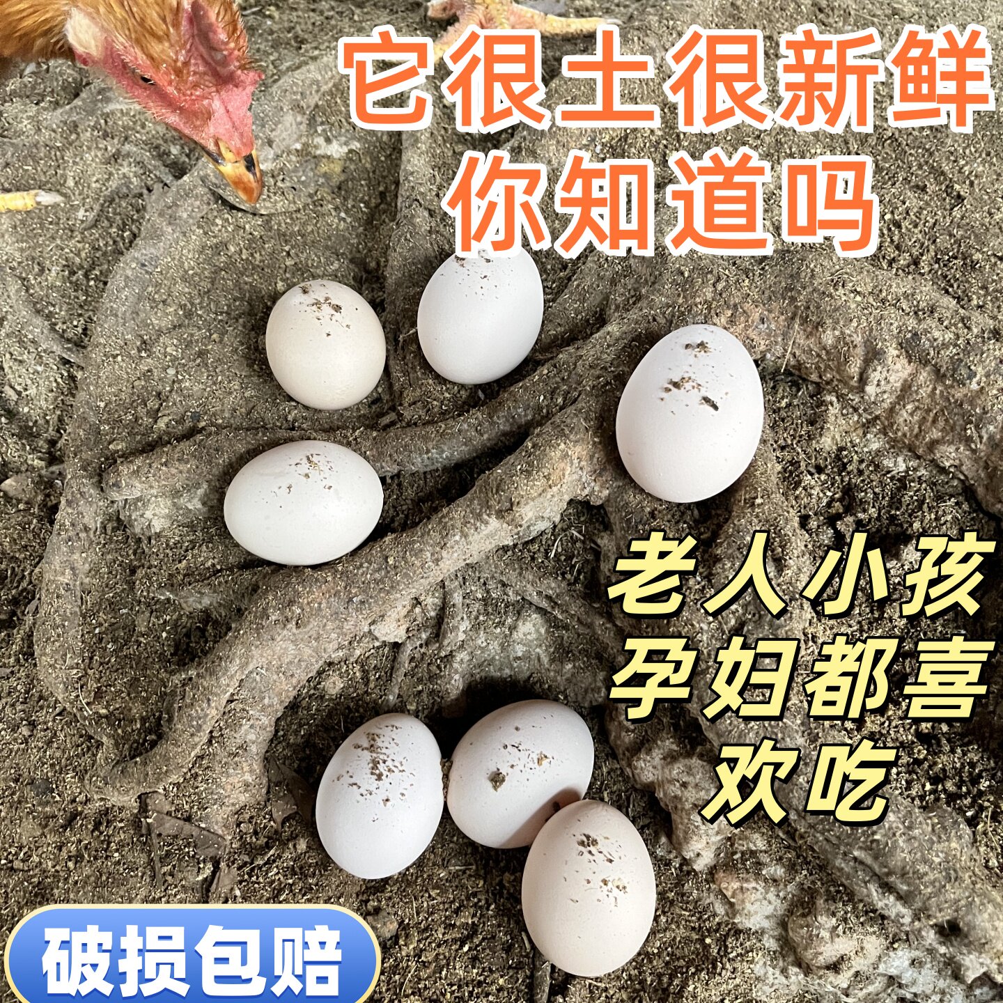 广西100%纯土鸡蛋散养鸡蛋正宗新鲜土鸡蛋中大蛋自产自销生态蛋香 - 实物图