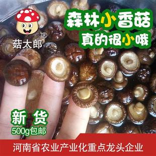 菇太郎小香菇干货特小香菇500g新货金钱菇迷你冬菇珍珠菇香菇