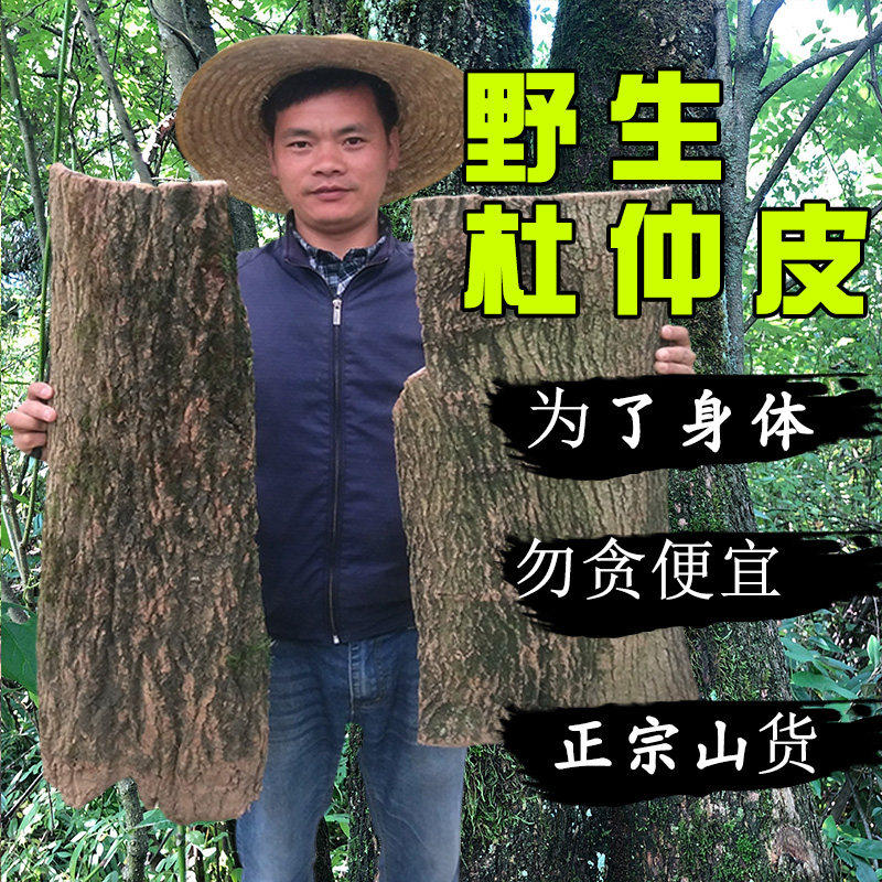 老树厚皮杜仲包邮贵州深山煲汤中药材可泡茶泡酒泡水喝酒盐炒杜仲