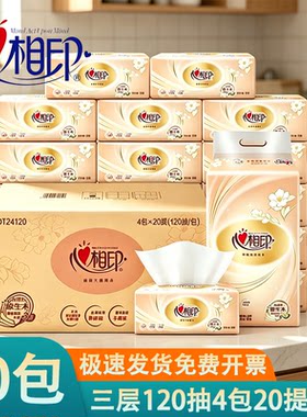 心相印DT24200/DT24120三层120抽
