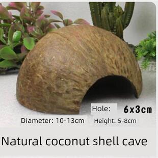 爬行动物宠物洞穴，避免自然椰子壳树洞穴巢穴隐藏蜘蛛蝎子寄居蟹