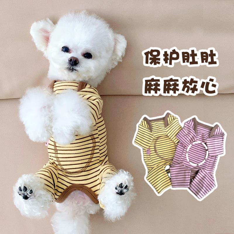 小型犬护肚衣服秋冬款狗狗泰迪比熊柯基法斗春秋季睡衣绝育服母猫