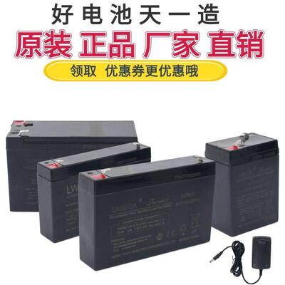 儿童电动车SAIKEDA赛克达6v12v电瓶充电器童车通用蓄电池配件维修