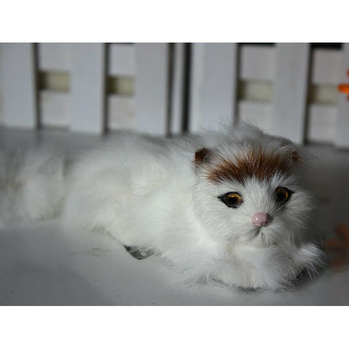 动物模型彷真猫各种款式小猫 猫咪宠物玩具 摄影道具教学素材