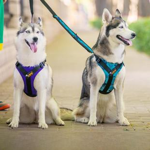 优贝卡狗狗背带胸背带金毛泰迪牵引绳狗炼大中型犬防爆冲背心狗绳