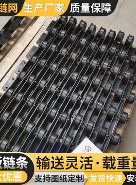 厂家供应工业弯板链条单双排大节距滚子输送链4分08b带耳链条
