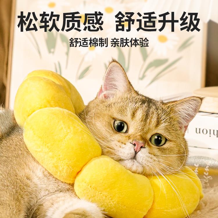 伊丽莎白圈猫绝育项防咬