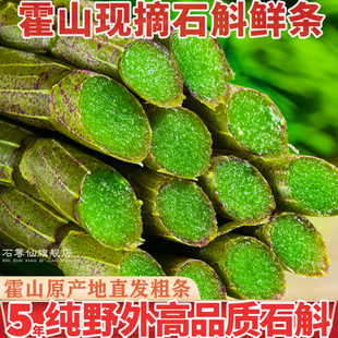 正宗安徽霍山铁皮石斛鲜条新鲜官方正品旗舰店中药材500可礼盒g