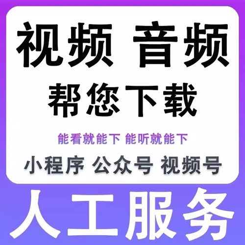 哔站视频下载视频代下载视频转mp3 抖音视频下载小红书下载