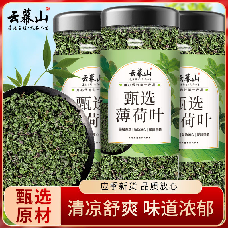 云幕山薄荷叶50g罐装正宗薄荷叶新鲜薄荷叶颗粒新货薄荷批发正品